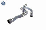 Radiator Hose - V20-1745