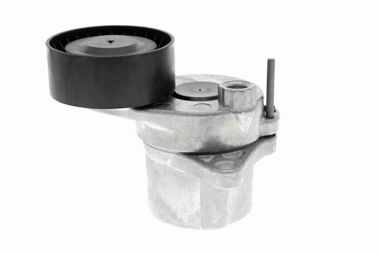 Belt Tensioner, V-ribbed belt - V30-2709