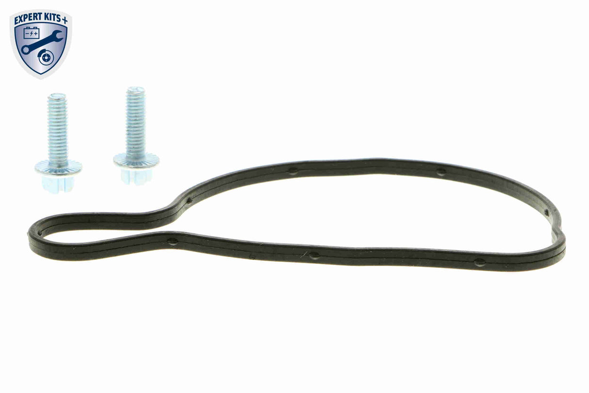 Water Pump, engine cooling - V10-50063