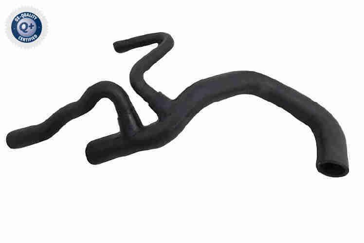 Radiator Hose - V25-2579