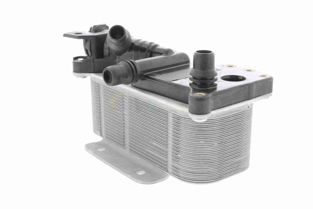 Oil Cooler, engine oil - V20-60-0059