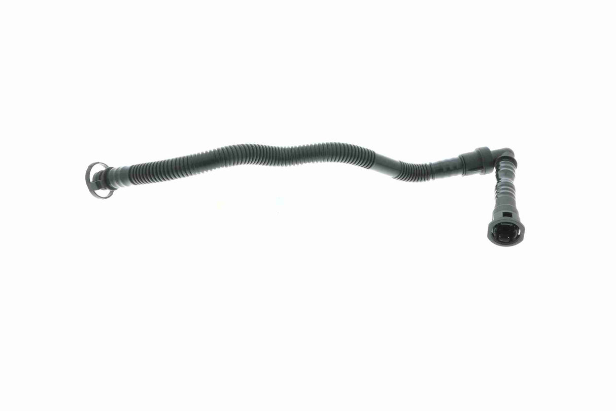 Hose, crankcase ventilation - V20-1800