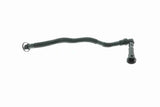 Hose, crankcase ventilation - V20-1800
