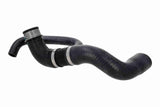Radiator Hose - V30-2904