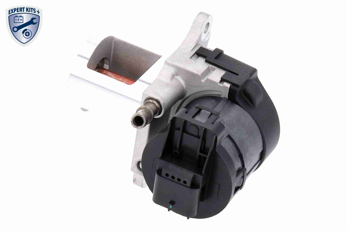 Valve, exhaust gas recirculation - V30-63-0031
