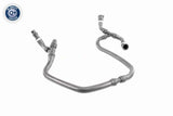 Radiator Hose - V20-1304