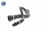 Radiator Hose - V20-1768