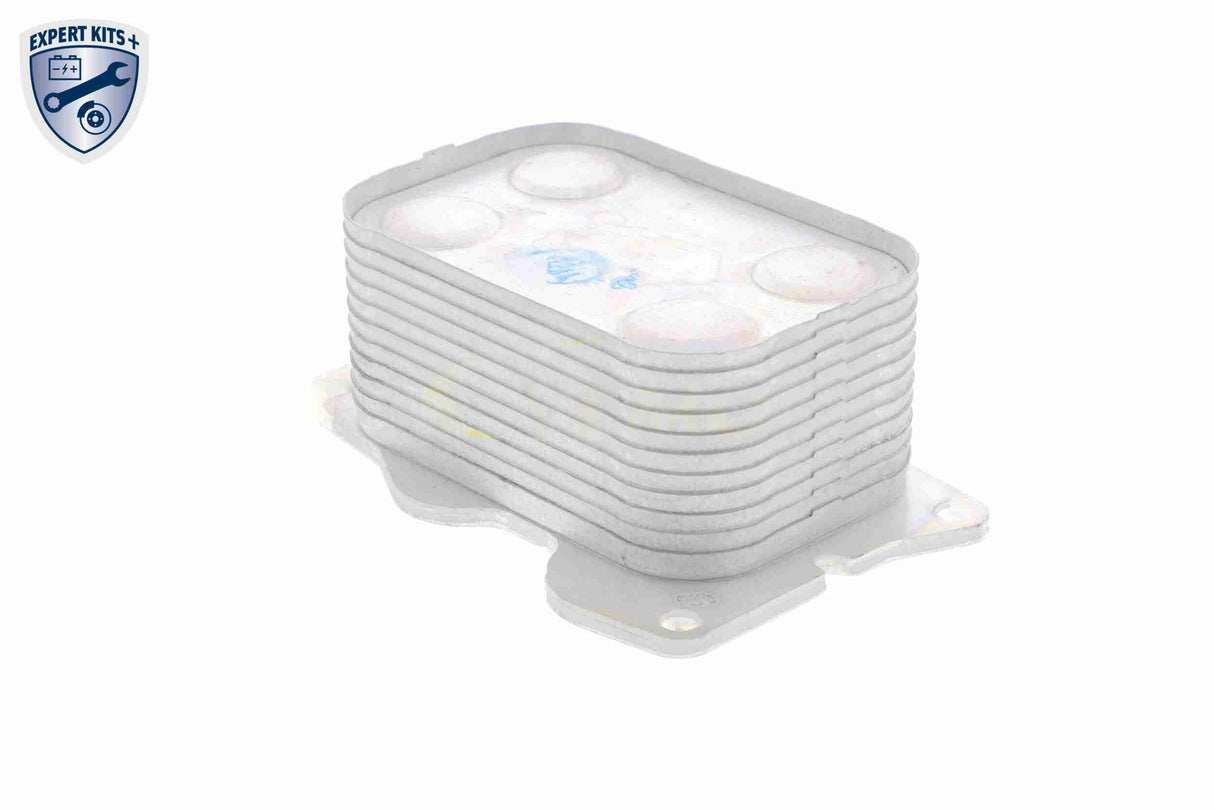 Oil Cooler, engine oil - V25-60-0025