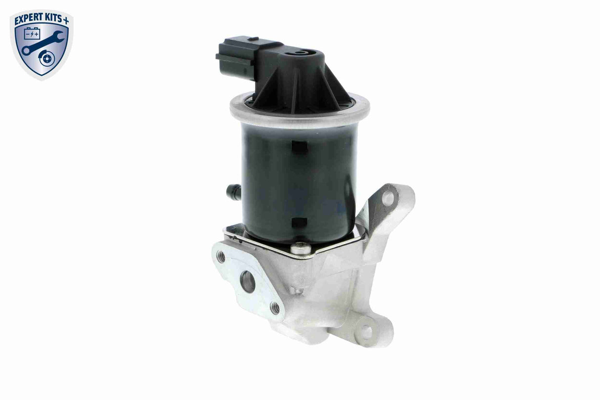 Valve, exhaust gas recirculation - V10-63-0072