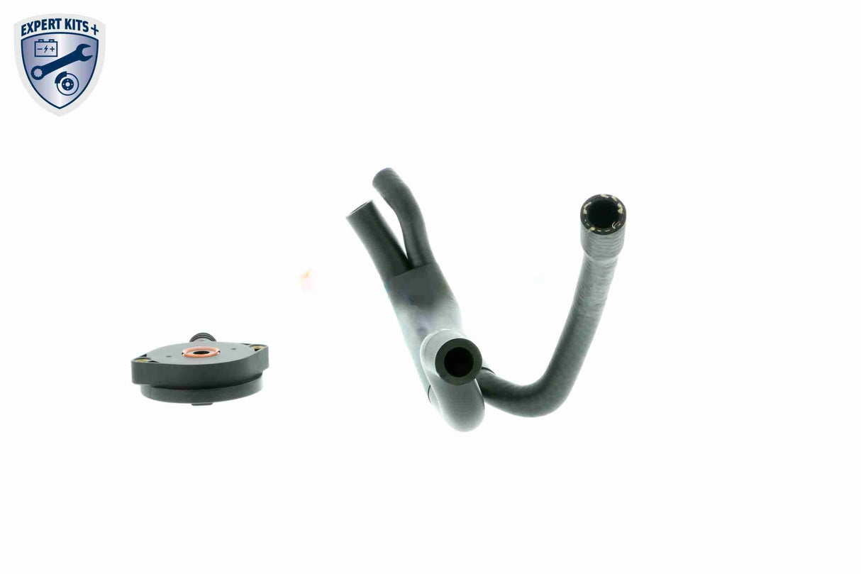 Repair Kit, crankcase ventilation - V20-1920