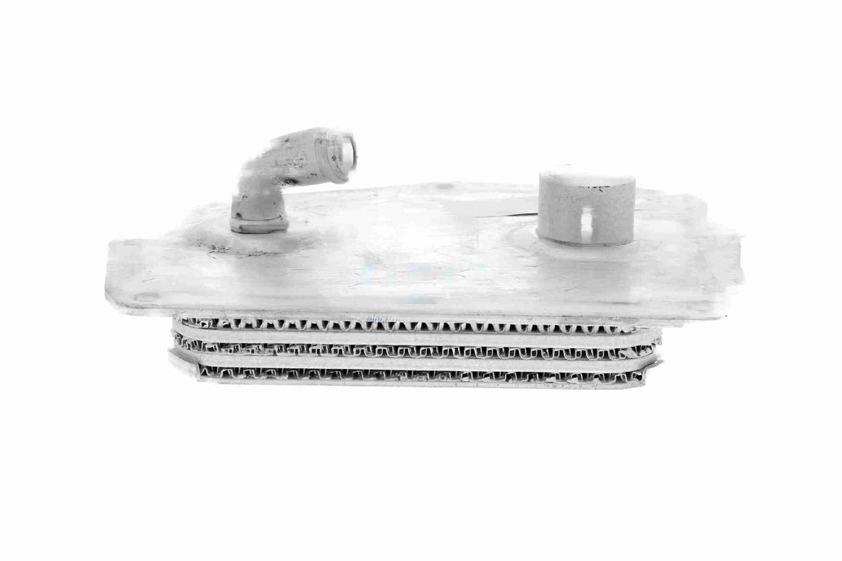 Oil Cooler, engine oil - V30-60-0004