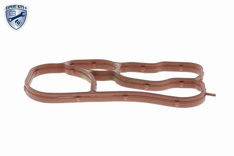 Gasket, oil cooler - V15-60-90015