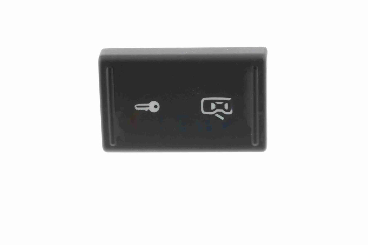 Switch, door lock system - V10-73-0197