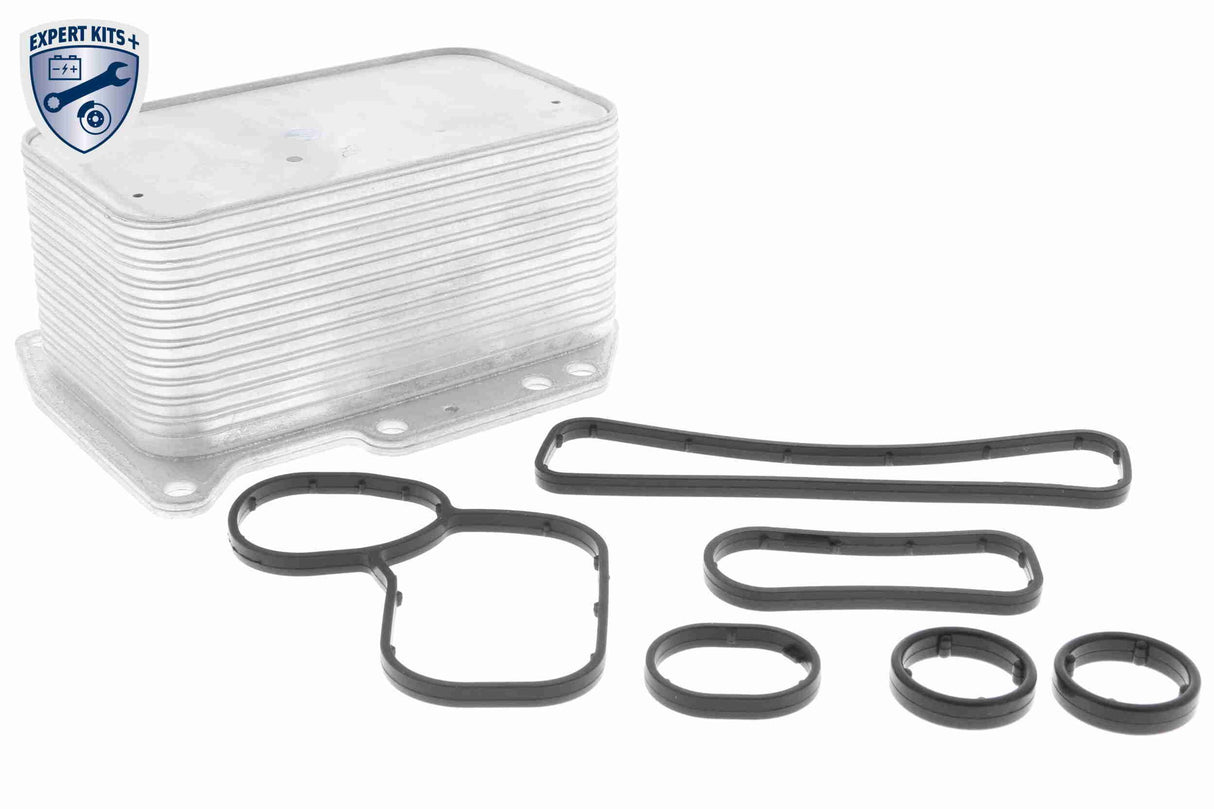 Oil Cooler, engine oil - V46-60-0012