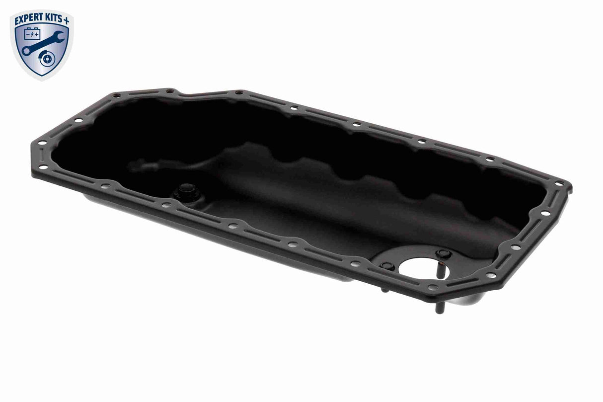 Oil Sump - V10-8009