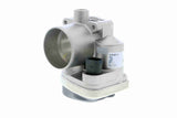 Throttle Body - V10-81-0077