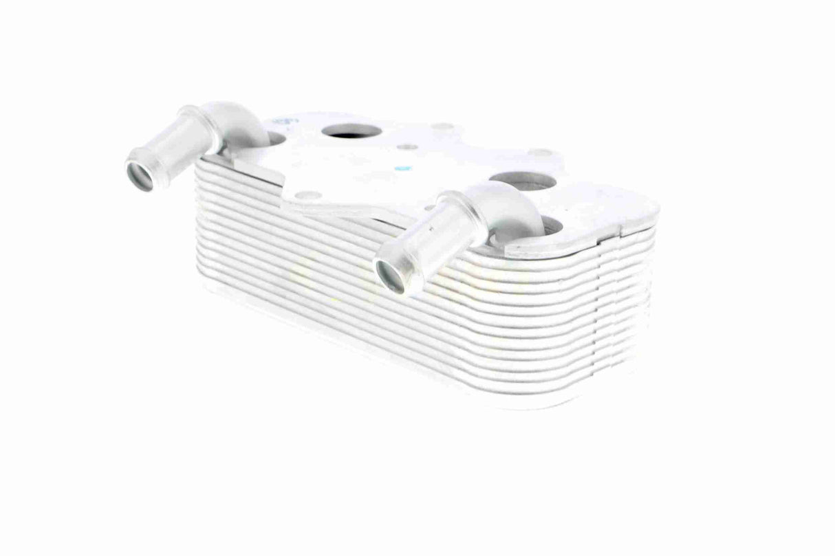 Oil Cooler, engine oil - V40-60-2096