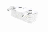 Oil Cooler, engine oil - V40-60-2096