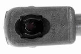 Gas Spring, boot/cargo area - V22-1072