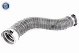 Charge Air Hose - V20-2966