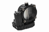 Throttle Body - V33-81-0008