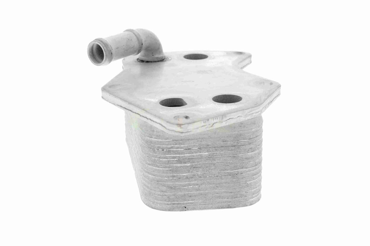 Oil Cooler, engine oil - V15-60-6074