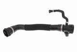 Radiator Hose - V20-4686