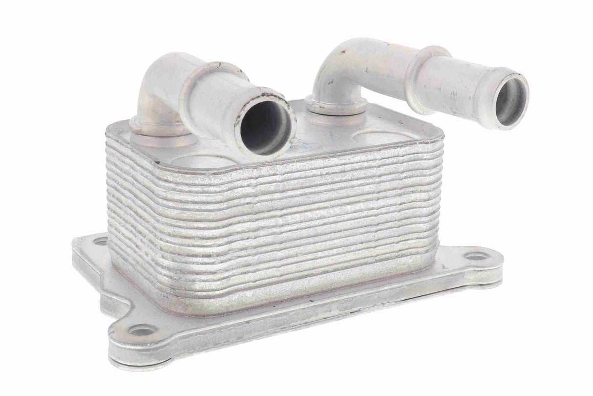 Oil Cooler, engine oil - V38-60-0004