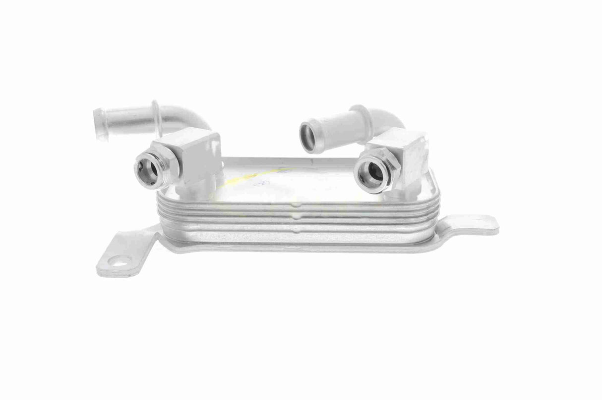 Oil Cooler, automatic transmission - V40-60-0018