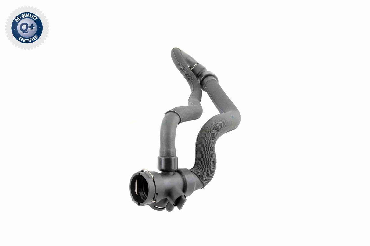Radiator Hose - V10-4625