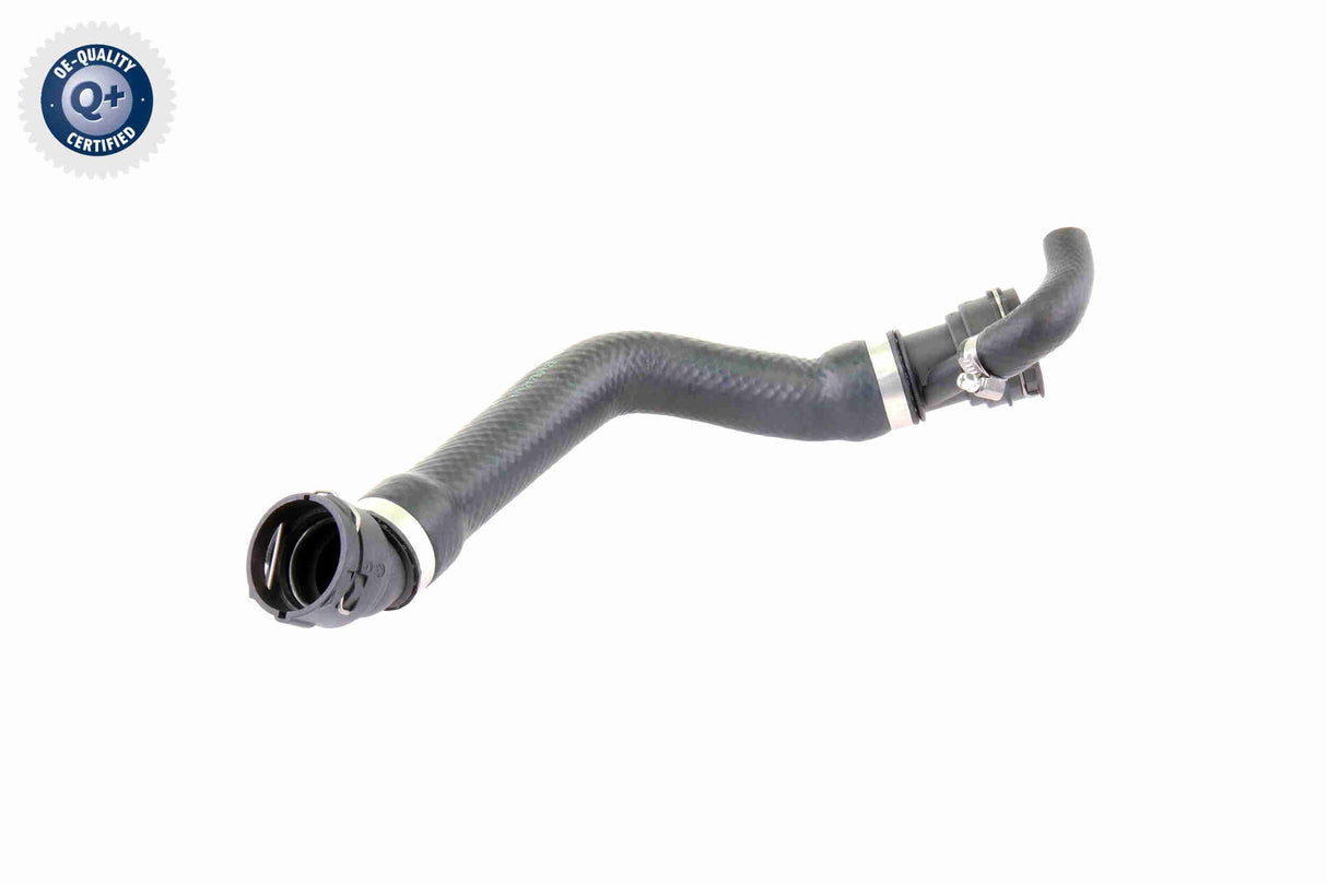 Radiator Hose - V20-1330