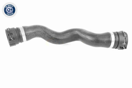 Radiator Hose - V48-0452