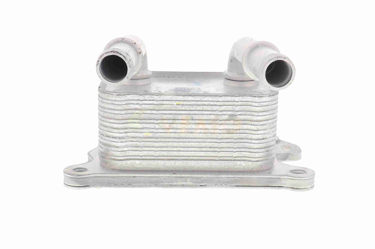 Oil Cooler, engine oil - V38-60-0004