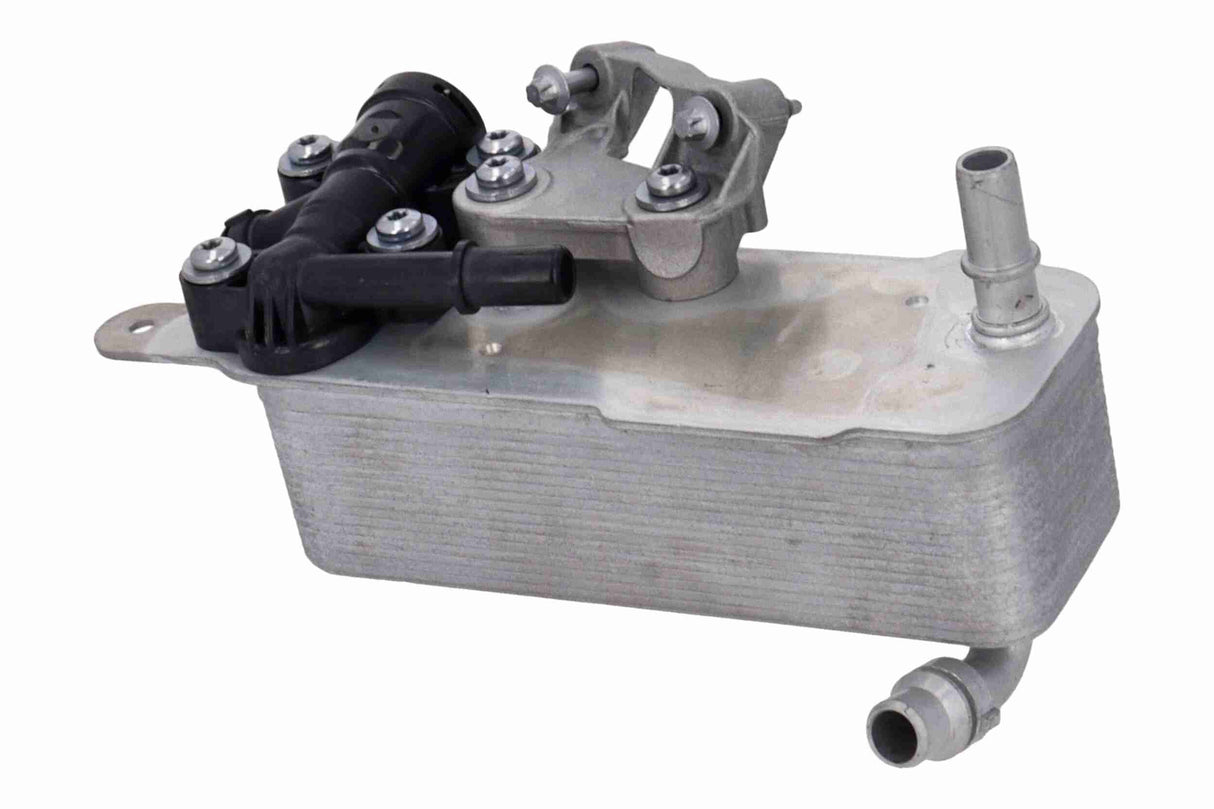 Oil Cooler, automatic transmission - V20-60-0100