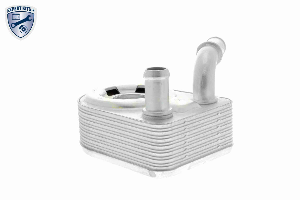 Oil Cooler, engine oil - V25-60-0046