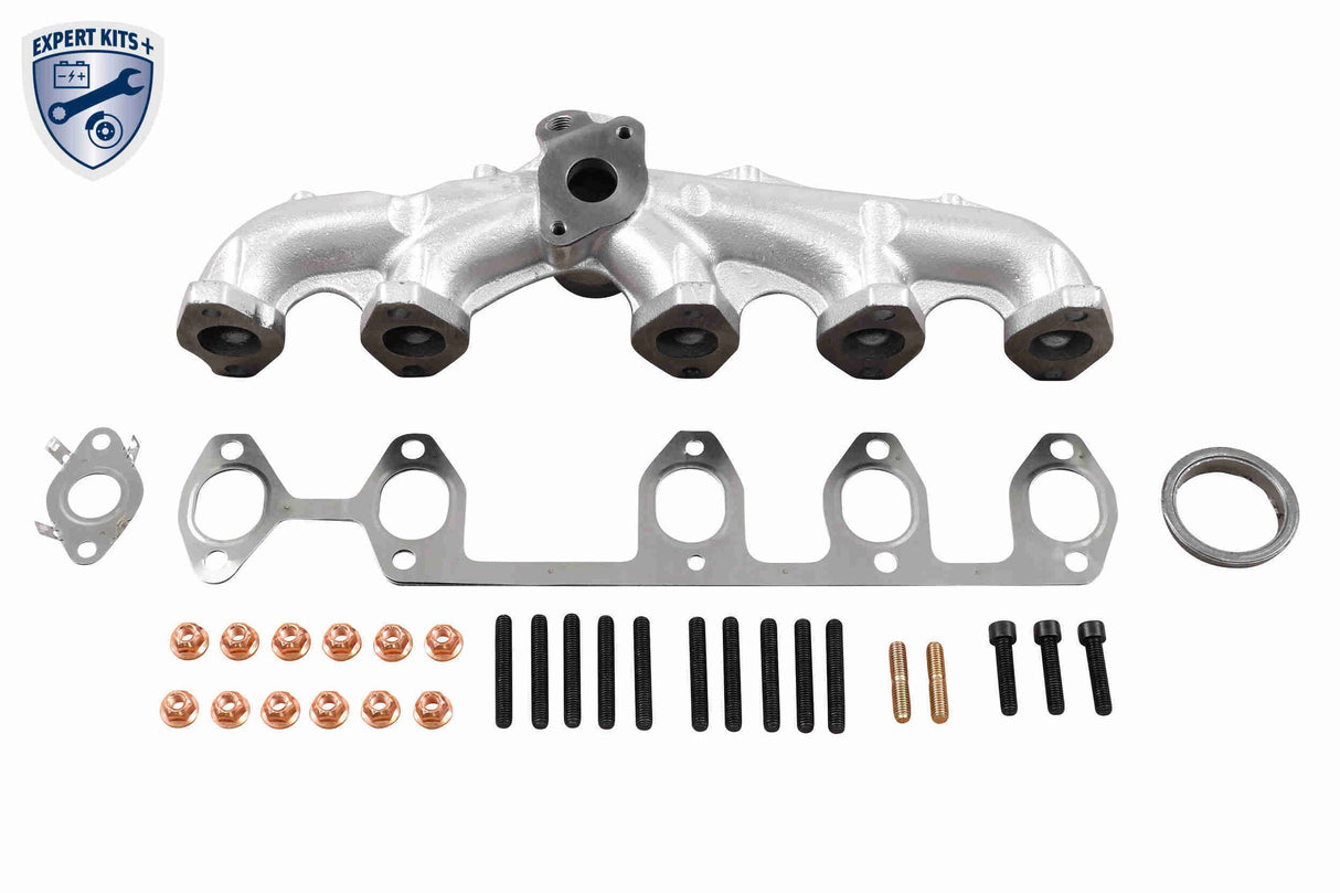 Manifold, exhaust system - V10-6555