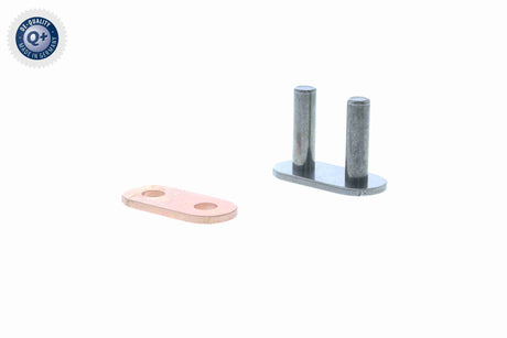 Timing Chain - V30-2319