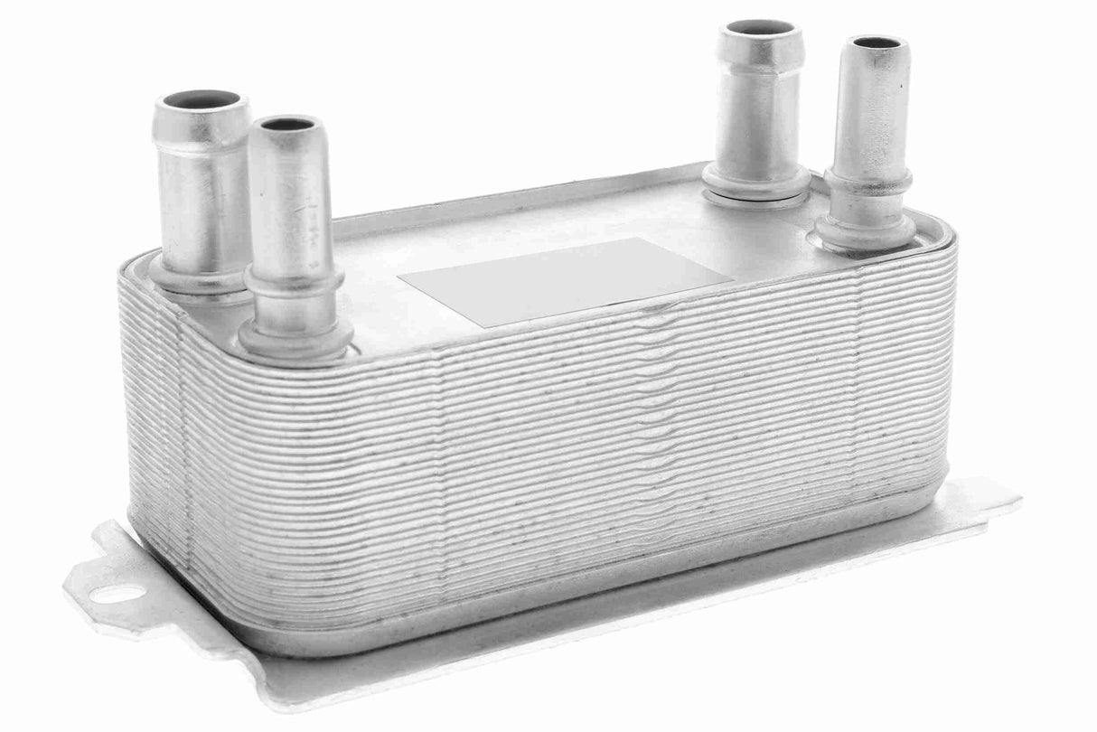 Oil Cooler, engine oil - V25-60-0044