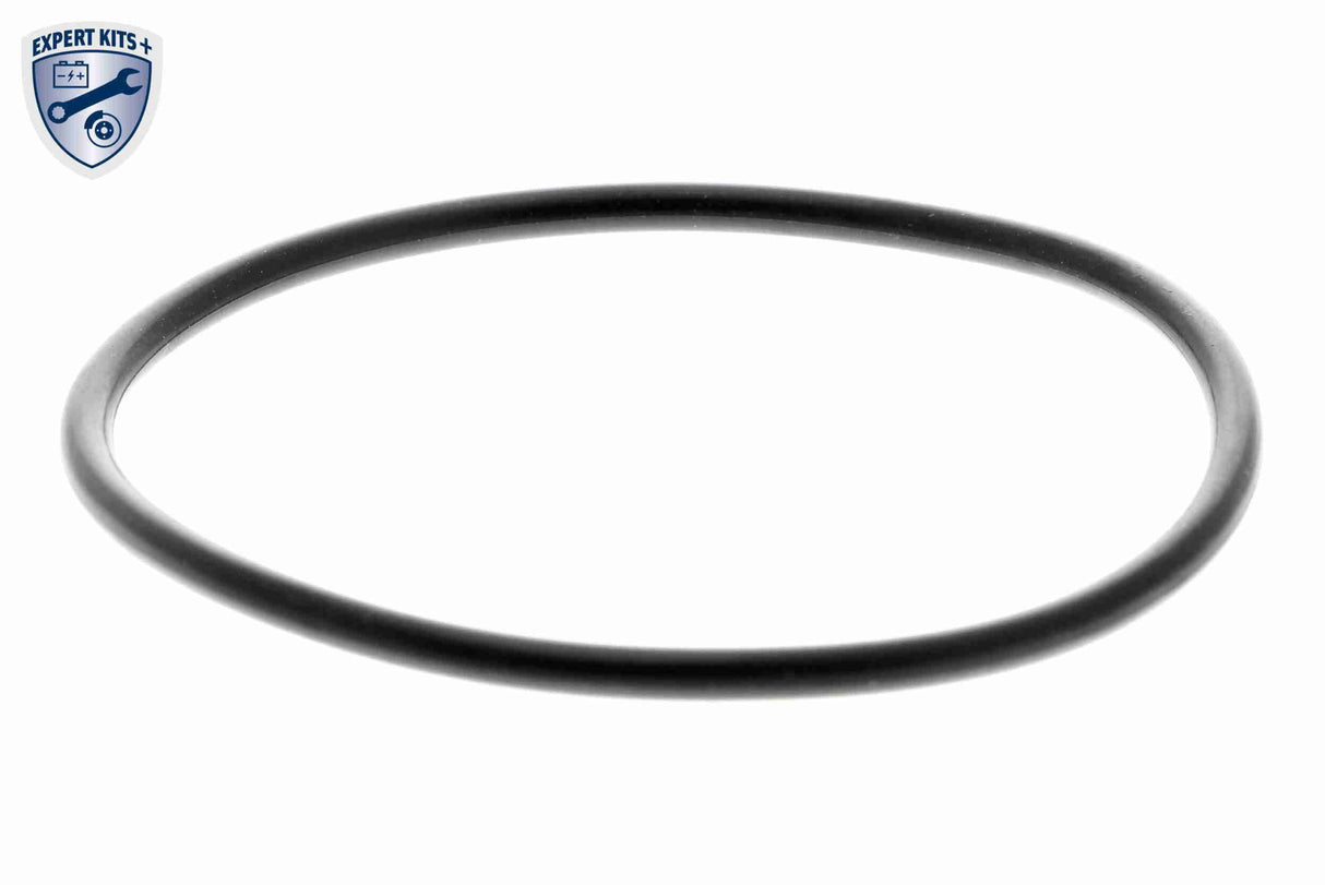 Valve, exhaust gas recirculation - V10-63-0033