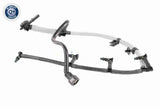 Hose, fuel overflow - V25-1481