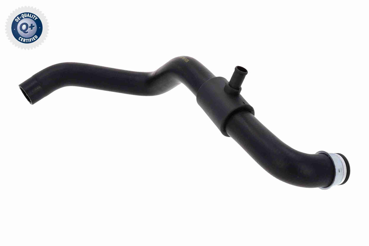 Radiator Hose - V42-0836