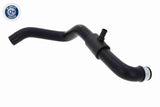 Radiator Hose - V42-0836
