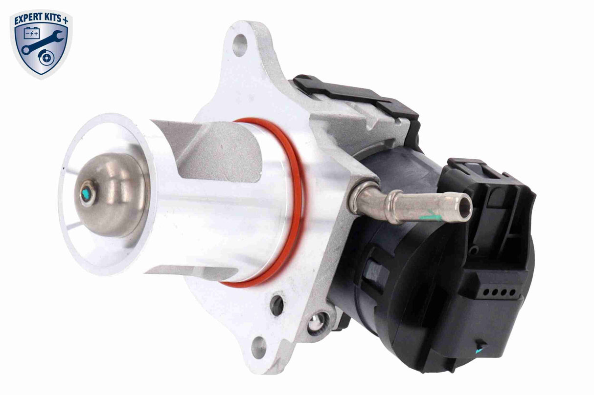 Valve, exhaust gas recirculation - V30-63-0031