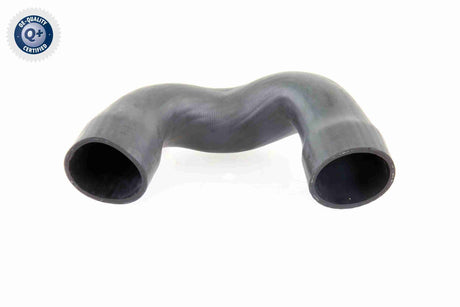 Charge Air Hose - V10-3821