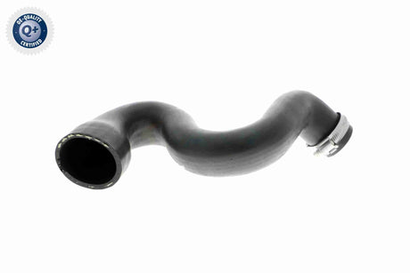 Charge Air Hose - V10-2917