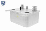 Oil Cooler, engine oil - V25-60-0038