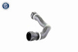 Radiator Hose - V20-1460