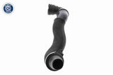 Radiator Hose - V25-1490