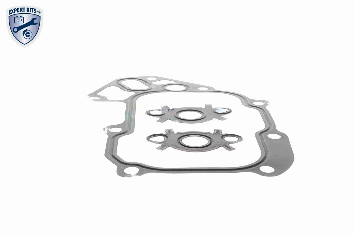 Gasket Set, oil cooler - V22-60-9043