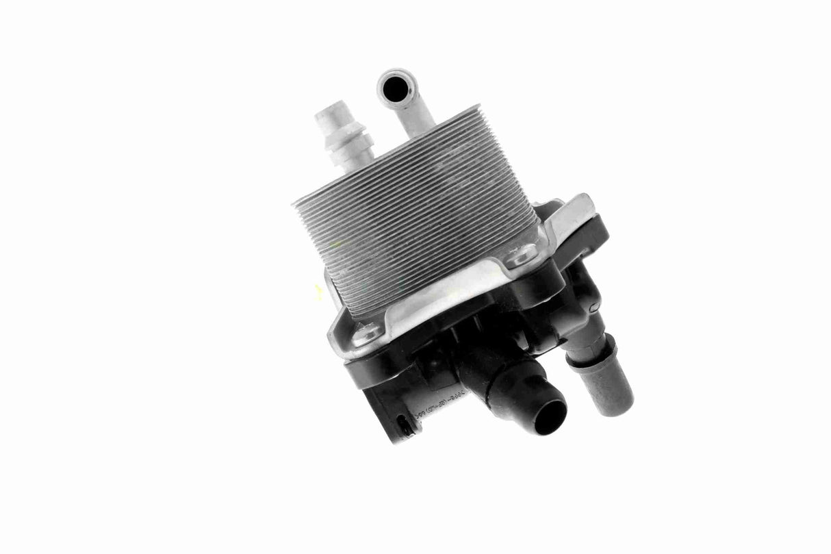 Oil Cooler, engine oil - V20-60-0053